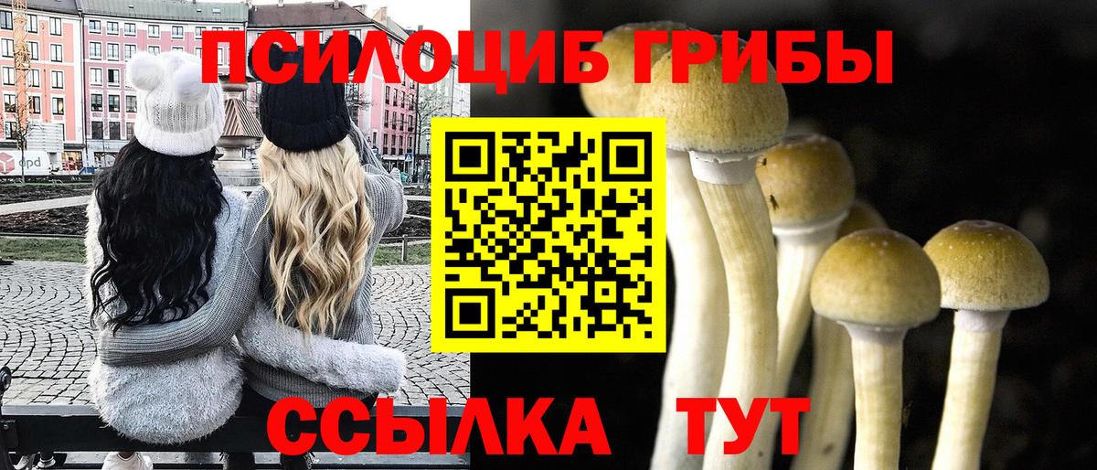 Псилоцибиновые грибы GOLDEN TEACHER Анапа
