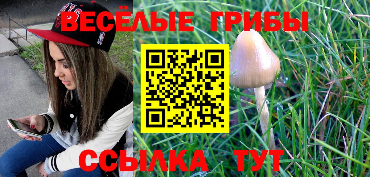 Галлюциногенные грибы прущие грибы  Галлюциногенные грибы прущие грибы  Вход с VPN  Анапа 